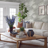 Hatteras Grey by A-Street Prints Palms Wallpaper- A-Street Prints 4172-27488