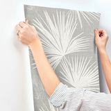 Hatteras Grey by A-Street Prints Palms Wallpaper- A-Street Prints 4172-27488