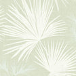 Hatteras Light Green Palms Wallpaper by A-Street Prints showing white fan palm leaves on a light green woven-look background