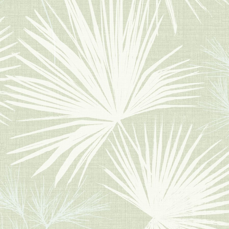 Hatteras Light Green Palms Wallpaper by A-Street Prints showing white fan palm leaves on a light green woven-look background