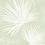 Hatteras Light Green Palms Wallpaper by A-Street Prints showing white fan palm leaves on a light green woven-look background