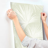 Hatteras Light Green by A-Street Prints Palms Wallpaper- A-Street Prints 4172-27490