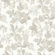 Beach Rose Neutral Floral Fruits Wallpaper – A-Street Prints 4172-27493