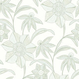 Star Flower Light Green Floral Trail Wallpaper – A-Street Prints