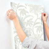 Star Flower Light Green by A-Street Prints Floral Trail Wallpaper- A-Street Prints 4172-27513