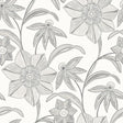 A-Street Prints Star Flower Charcoal Floral Trail Wallpaper roll sample showing grey floral vines on white