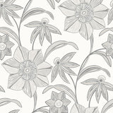 A-Street Prints Star Flower Charcoal Floral Trail Wallpaper roll sample showing grey floral vines on white