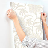 Star Flower Beige by A-Street Prints Floral Trail Wallpaper – A-Street Prints 4172-27515