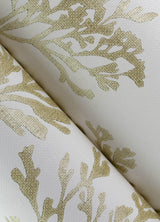 Tortuga Gold by A-Street Prints Coral Weave Grasscloth Wallpaper – A-Street Prints 4172-82002