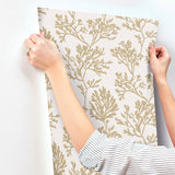 Tortuga Gold by A-Street Prints Coral Weave Grasscloth Wallpaper – A-Street Prints 4172-82002