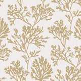 Tortuga Gold Coral Weave Wallpaper – A-Street Prints 4172-82002