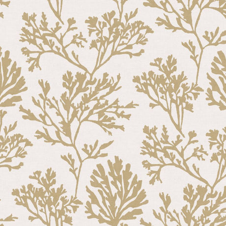 Tortuga Gold Coral Weave Wallpaper – A-Street Prints 4172-82002