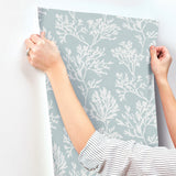 Tortuga Sky Blue by A-Street Prints Coral Weave Wallpaper – A-Street Prints 4172-82003