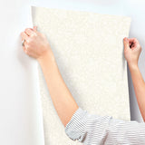 Hague Ivory by Chris Loves Julia Floral Trail Wallpaper – A-Street Prints 4173-27629
