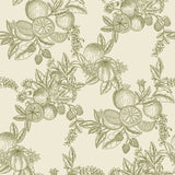 Gerty Green Fruit Toile wallpaper by A-Street Prints