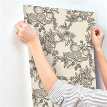 Gerty Black by Chris Loves Julia Fruit Toile Wallpaper – A-Street Prints 4173-27637