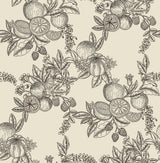 Gerty Black Fruit Toile Wallpaper by A-Street Prints