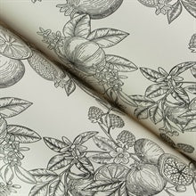 Gerty Black by Chris Loves Julia Fruit Toile Wallpaper – A-Street Prints 4173-27637