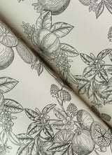 Gerty Black by Chris Loves Julia Fruit Toile Wallpaper – A-Street Prints 4173-27637