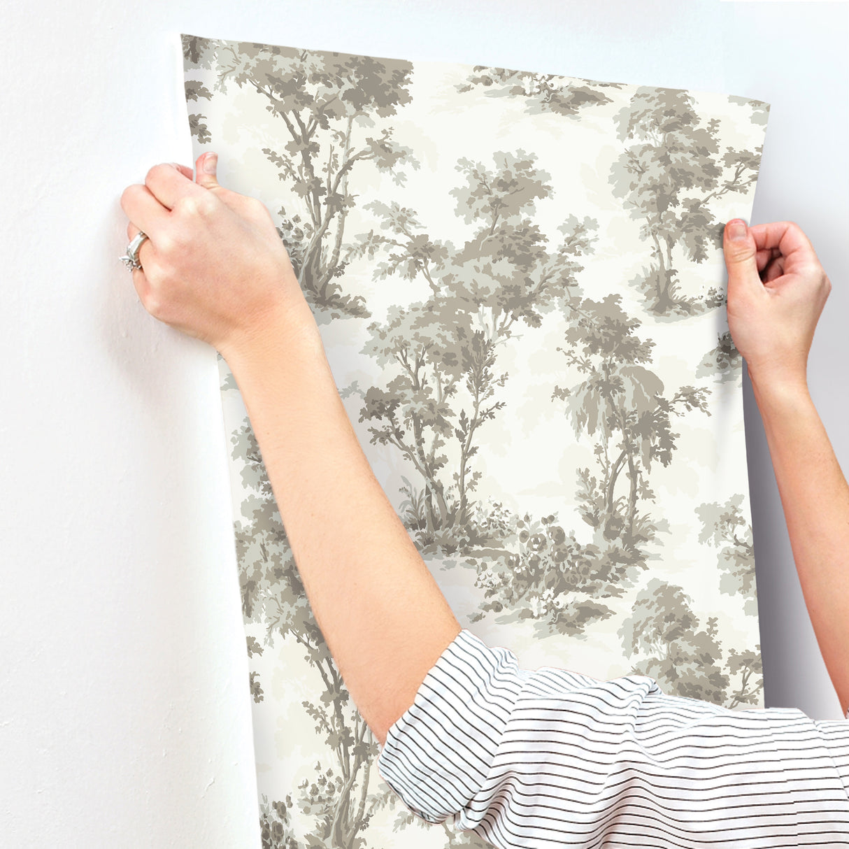 Sainsbury Slate by Chris Loves Julia Forest Wallpaper – A-Street Prints 4173-82107