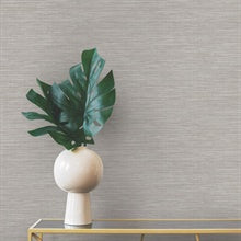 Winn Beige by Warner Faux Grasscloth Wallpaper- Brewster Home Fashions 4174-4602