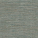 Winn Green by Warner Faux Grasscloth Vinyl Wallpaper - Brewster Home Fashions 4174-4604-Sample