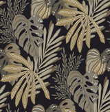 A-Street Prints Alocasia Neutral Tropical Foliage Wallpaper roll in black and neutral tropical leaves