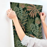 Alocasia Multicolor by A-Street Prints Tropical Foliage Wallpaper – A-Street Prints 4177-27737