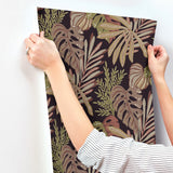 Alocasia Burgundy by A-Street Prints Tropical Foliage Wallpaper – A-Street Prints 4177-27738