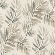 Serenade Grey Ferns Wallpaper by A-Street Prints roll and pattern detail