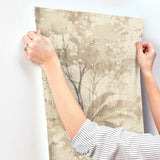 Mistwood Coffee by A-Street Prints Forest Wallpaper – A-Street Prints 4177-27750