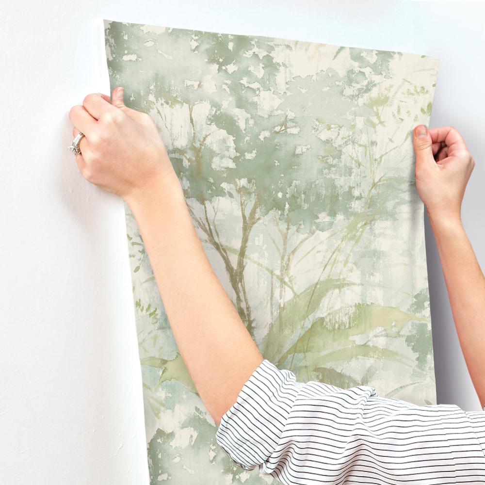 Mistwood Green by A-Street Prints Forest Wallpaper – A-Street Prints 4177-27751