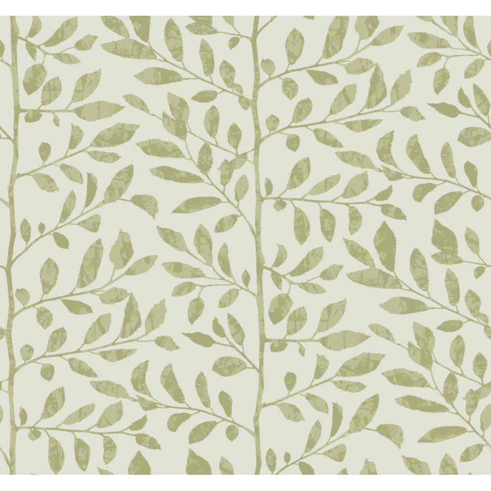 Sagecrest Sage Sapling Wallpaper by A-Street Prints