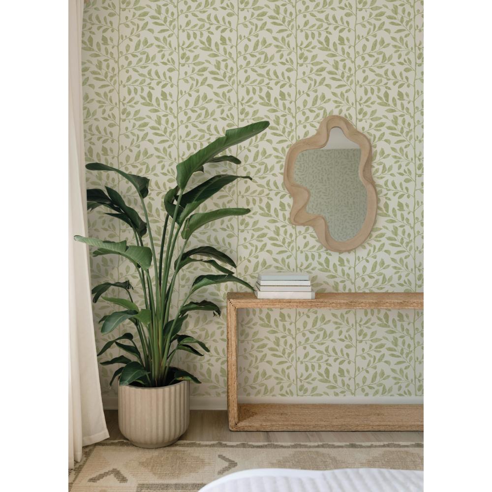Sagecrest Sage by A-Street Prints Sapling Botanical Wallpaper- A-Street Prints 4177-83305