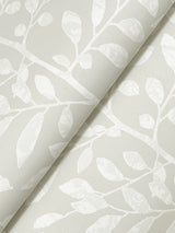 Sagecrest Light Grey by A-Street Prints Sapling Wallpaper- A-Street Prints 4177-83307