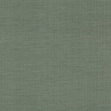 Magnitude Dark Green Chevron Wallpaper by Warner
