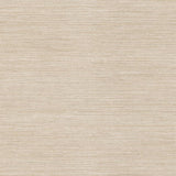 Warner Nira Light Brown Fabric Weave Wallpaper texture sample