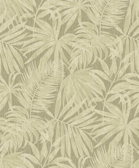 Sonny Green Fronds Wallpaper by Chesapeake - 4191-83027