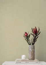 Alba Cream by A-Street Prints Open Weave Wallpaper- A-Street Prints 4193-7404