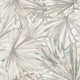 Corifa Cream Palm Leaf Wallpaper by A-Street Prints, SKU 4193-7450
