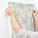 Corifa Cream by A-Street Prints Palm Leaf Wallpaper – A-Street Prints 4193-7450