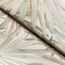 Corifa Cream by A-Street Prints Palm Leaf Wallpaper – A-Street Prints 4193-7450