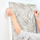 Corifa Cream by A-Street Prints Palm Leaf Wallpaper – A-Street Prints 4193-7450