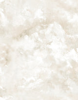 Aria Neutral Abstract Wallpaper roll, 27.55 in x 33 ft, unpasted vinyl non woven by A-Street Prints (SKU 4193-7460)