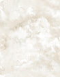 Aria Neutral Abstract Wallpaper roll, 27.55 in x 33 ft, unpasted vinyl non woven by A-Street Prints (SKU 4193-7460)