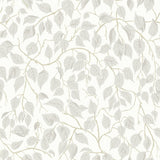 Hangbjork Dove Vine Wallpaper by A-Street Prints - grey and light brown botanical leaf pattern on white background