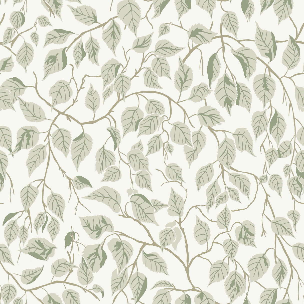 Hängbjörk Sage Vine Wallpaper by A-Street Prints featuring sage green layered leaves and winding brown vines on a soft white background
