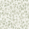 Hängbjörk Sage Vine Wallpaper by A-Street Prints featuring sage green layered leaves and winding brown vines on a soft white background