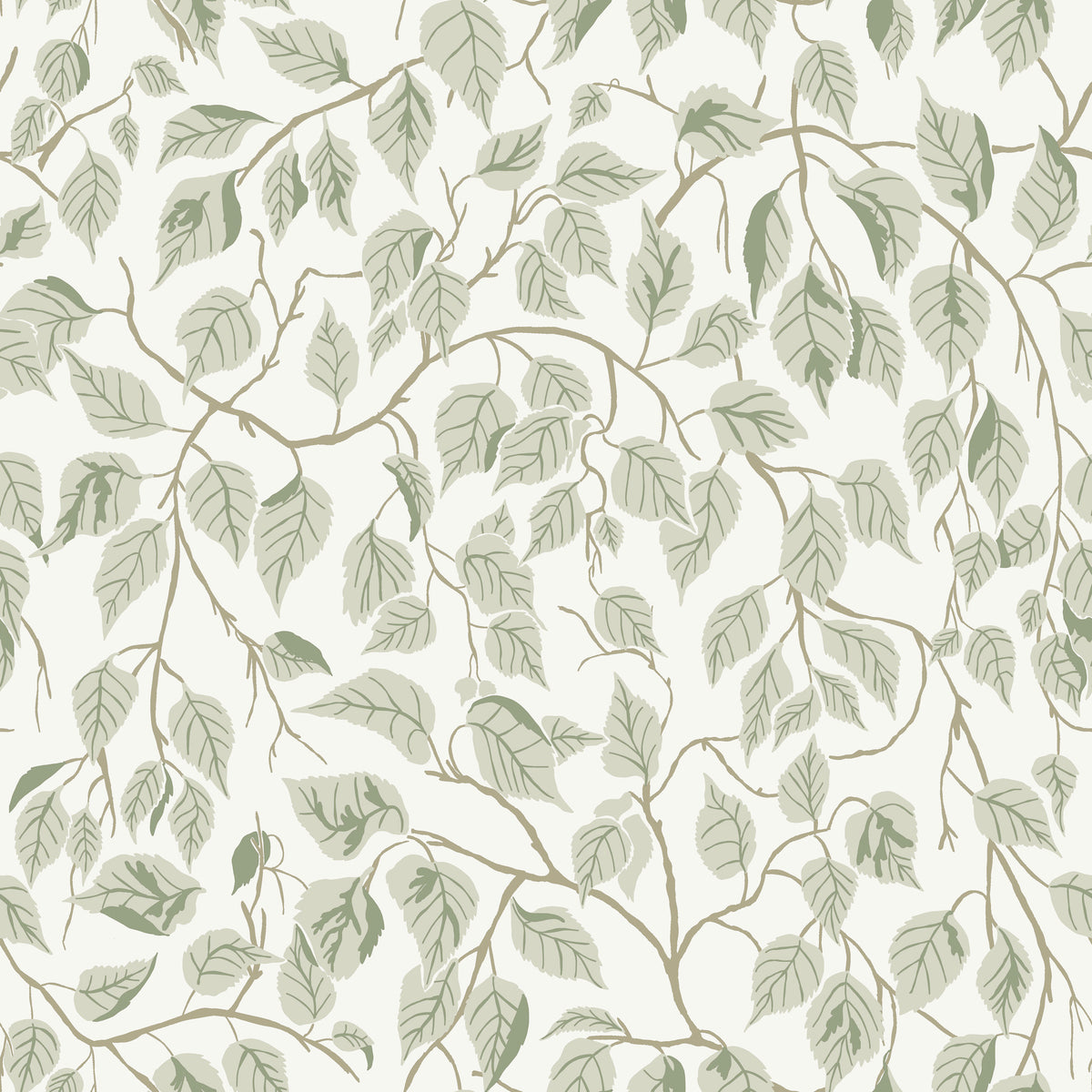 Hängbjörk Sage Vine Wallpaper by A-Street Prints featuring sage green layered leaves and winding brown vines on a soft white background