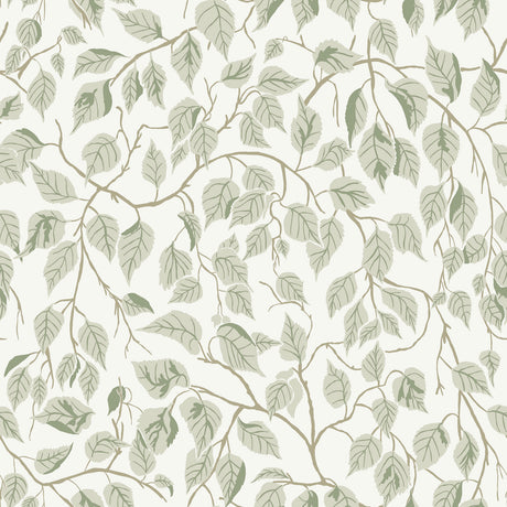 Hängbjörk Sage Vine Wallpaper by A-Street Prints featuring sage green layered leaves and winding brown vines on a soft white background